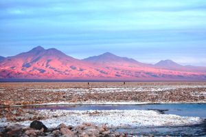 Actividad - San Pedro de Atacama: Salar de Atacama y Lagunas Altiplánicas