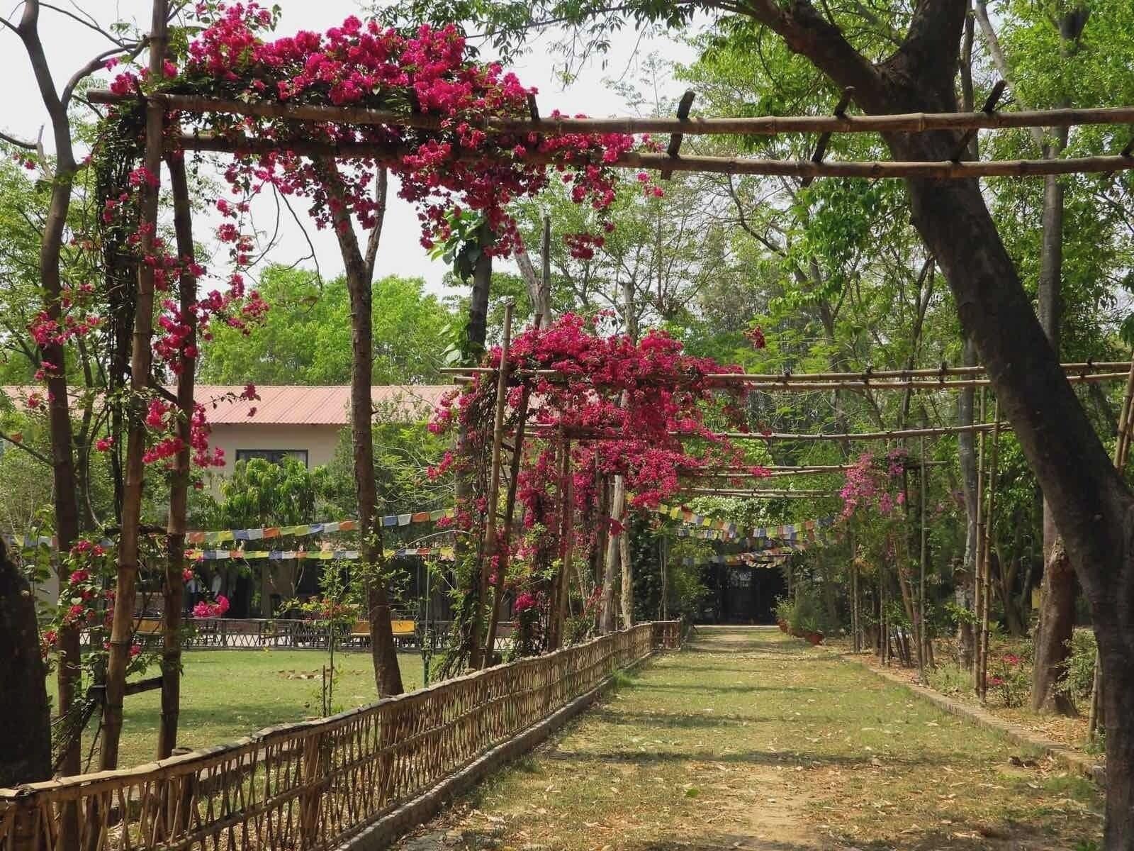 Vista Exterior Lumbini Buddha Garden Resort