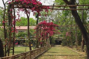 Alojamiento - Lumbini Buddha Garden Resort