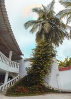 Alojamiento - Hotel Boquilla Suites By Geh Suites