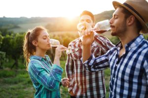 Actividad - Excursión a las bodegas rumanas desde Bucarest