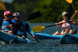 Actividad - Tour en kayak por Tampa