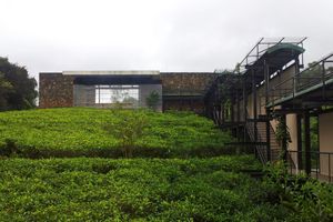 Alojamiento - The Rainforest Ecolodge