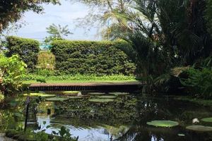 Actividad - Entrada al Jardín de Especias Tropicales