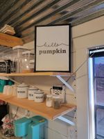 Alquiler Vacacional - Cheerful Country Tiny Home!