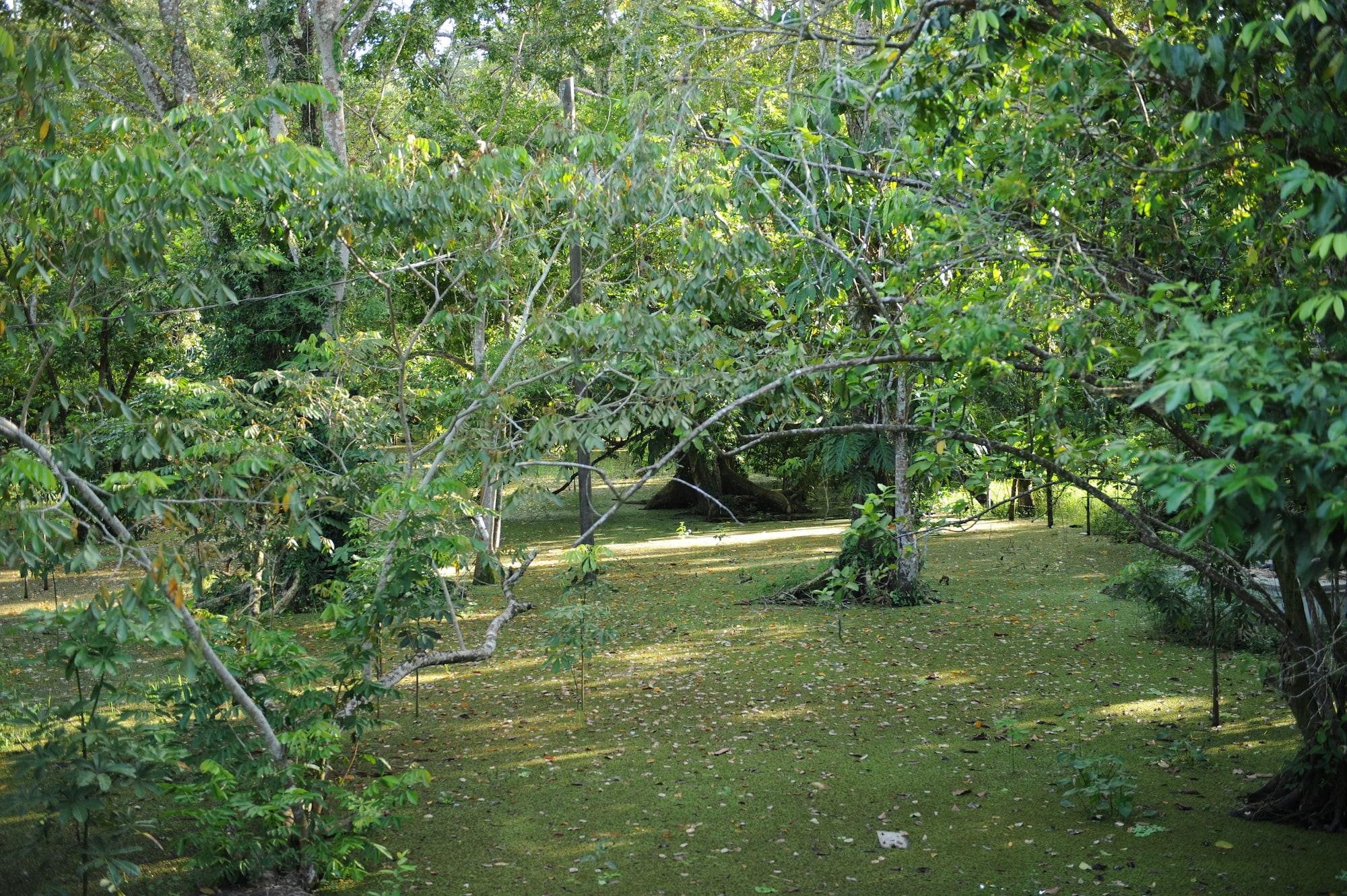 Comodidades del Alojamiento Dreamcatcher Eco Lodge - Adults Only