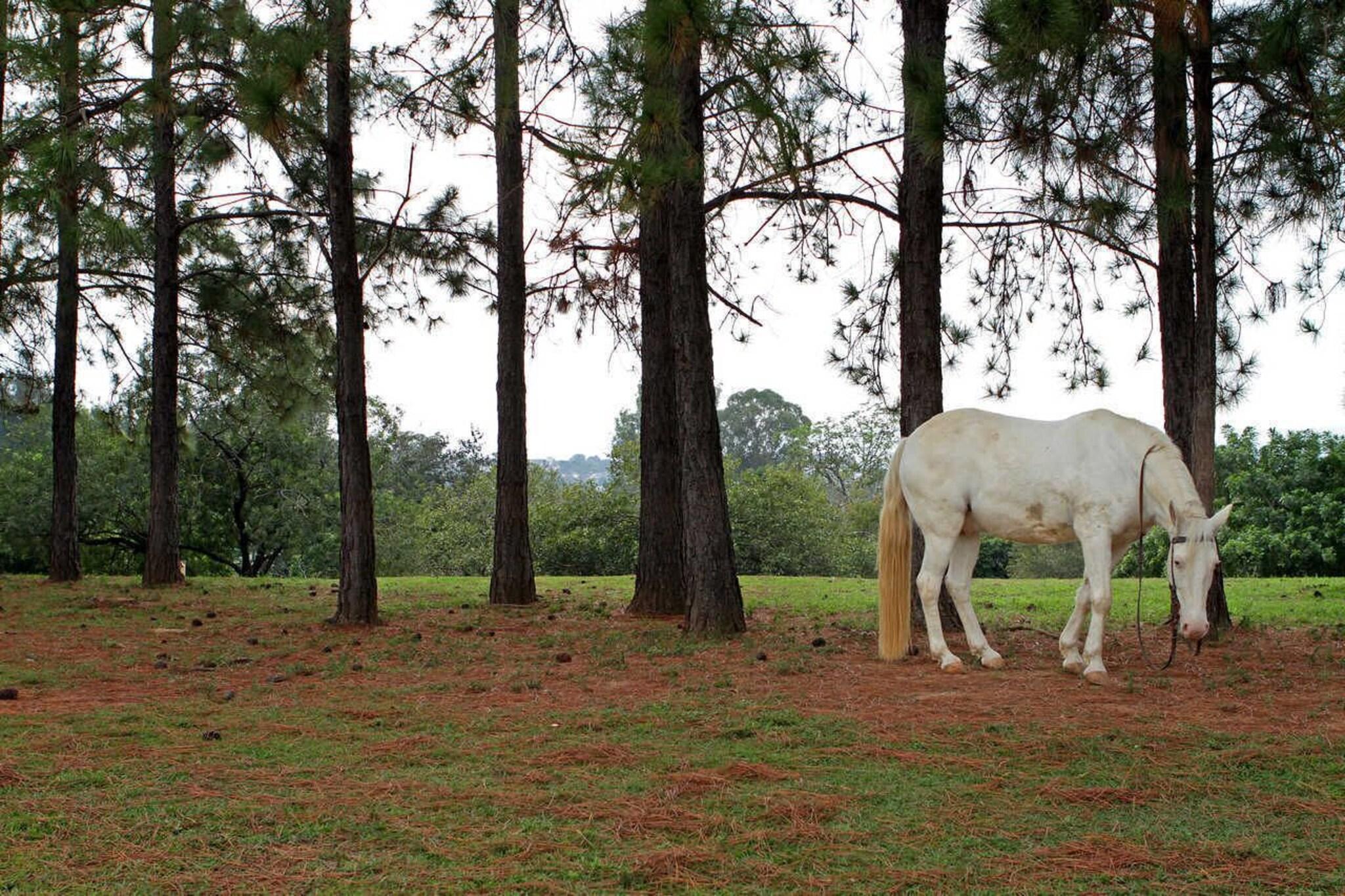 Instalaciones Recreativas San Raphael Country