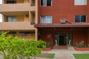 Alojamiento - Turtle Towers Apartments