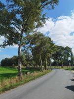 Alquiler Vacacional - Rural apartment surrounded by beautiful meadows