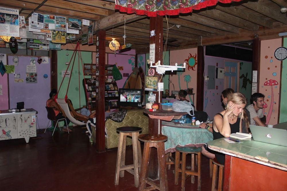 Vista Lobby Coconut Hostel