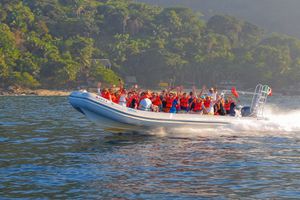 Actividad - Sea Safari:Safari en el Mar y Paseo a Caballo