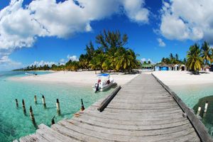 Actividad - Excursión Isla Saona VIP