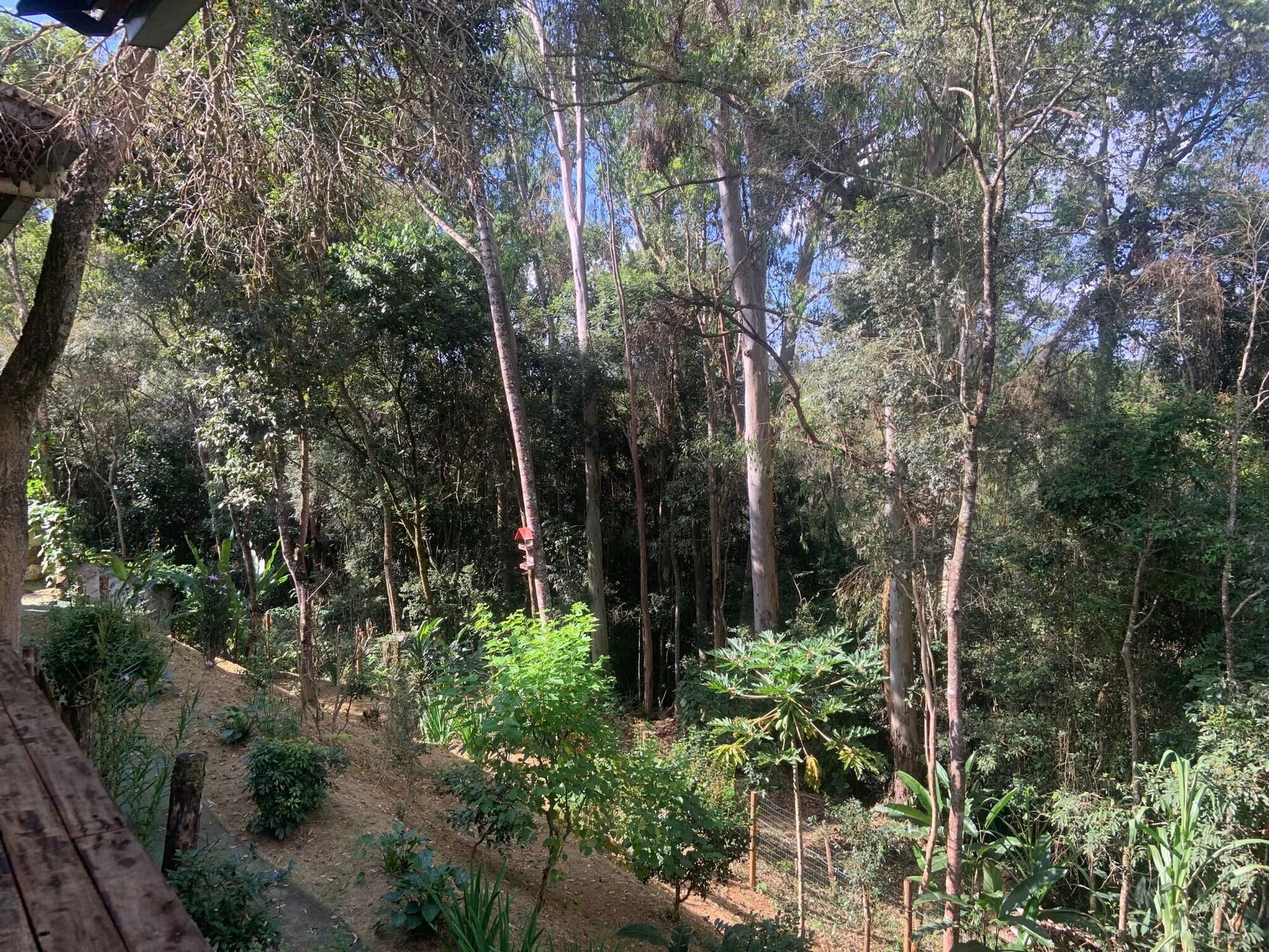 Equipamiento de Habitación Pousada Casinha Velha