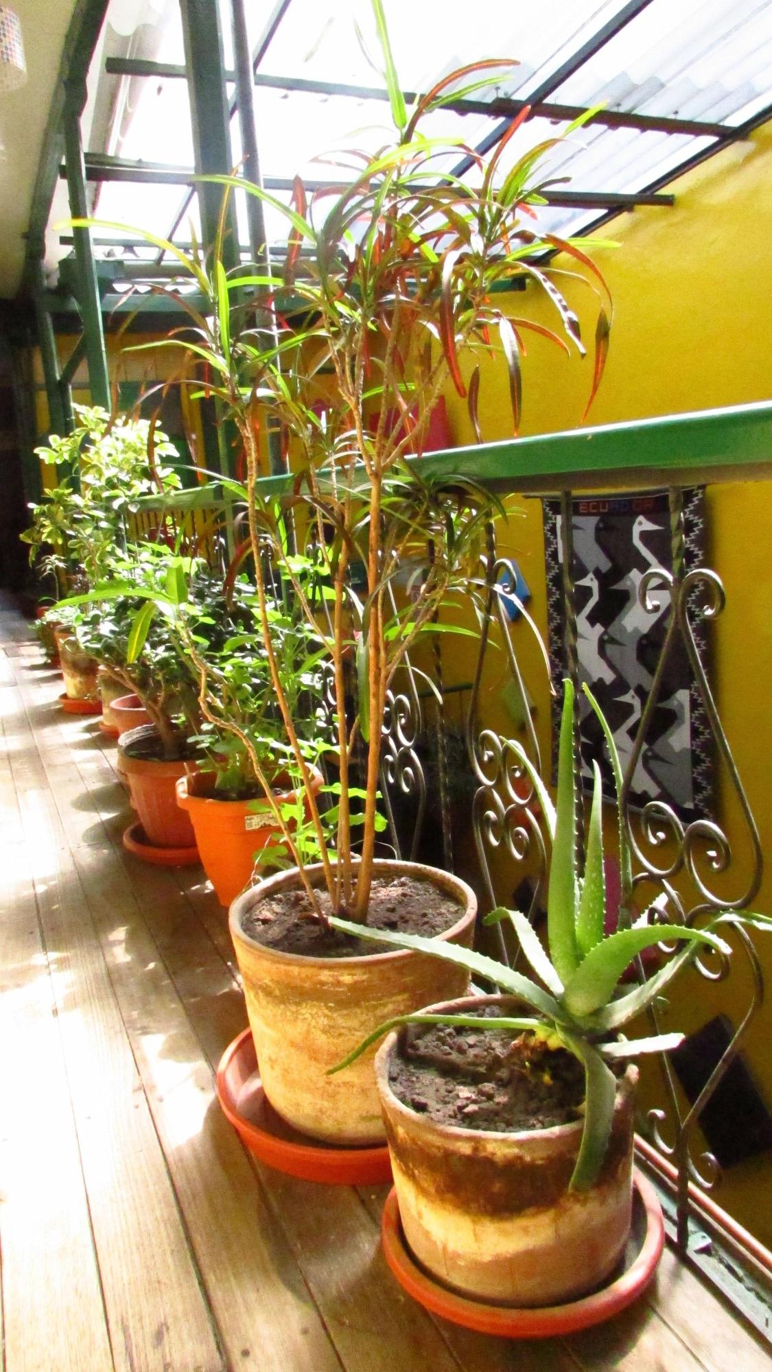 Playa Secret Garden - Hostel