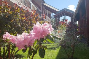 Alojamiento - Hosteria Patagonia