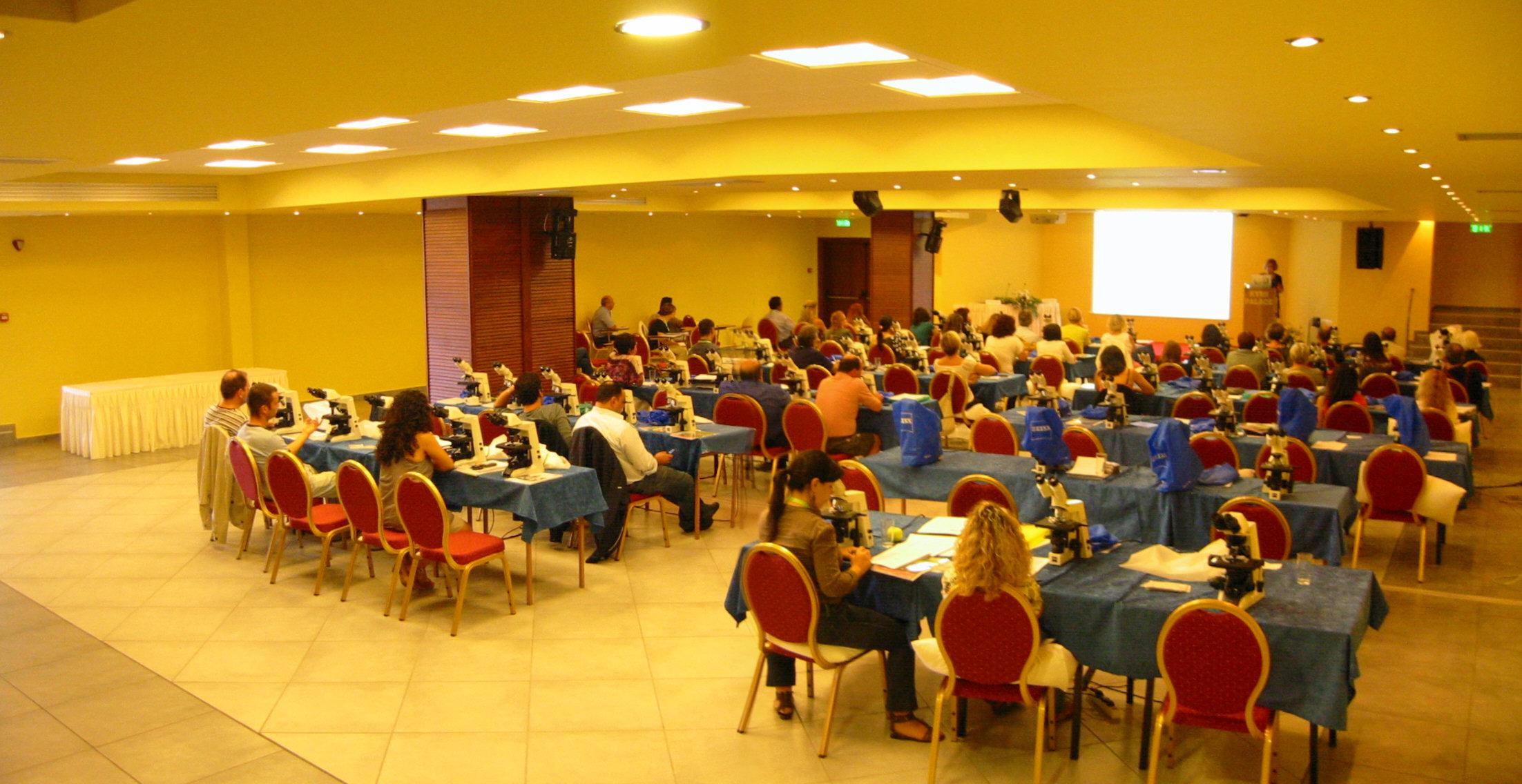 Centro de Negocios Kymi Palace Hotel
