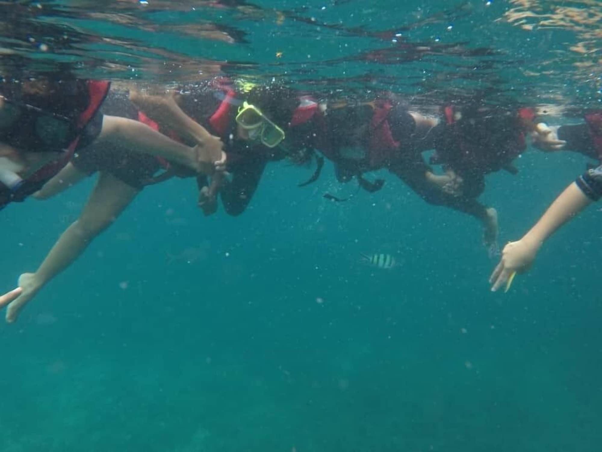 Instalaciones Recreativas Johan's Place