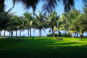 Alojamiento - Dat Lanh Beach Resort