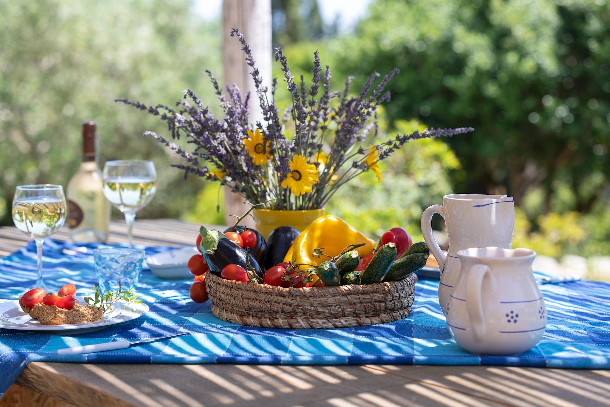 Varios Pajara Rugiada