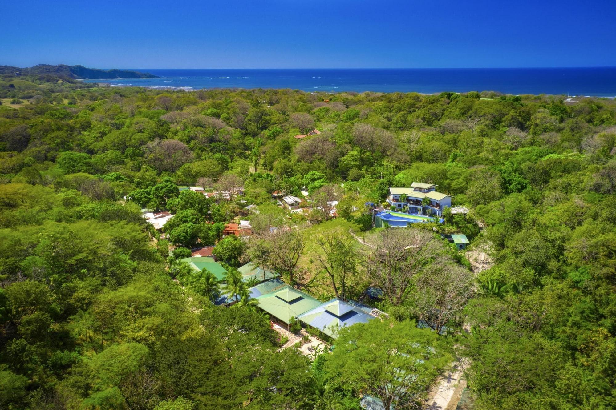 Vista Exterior Jungle's Edge: Jiu-Jitsu, Muay Thai & Yoga Retreats