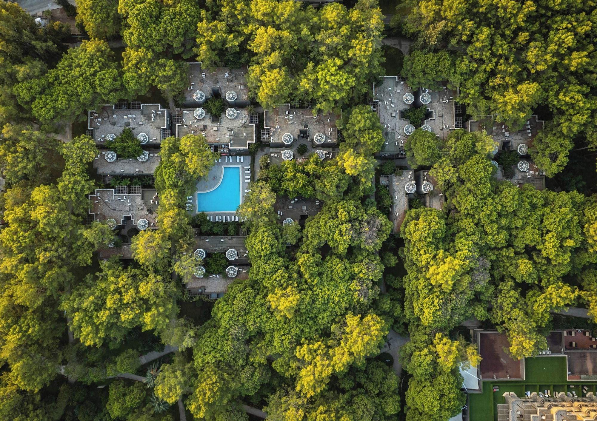 Vista Exterior Balmy Foresta