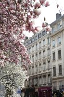 Alojamiento - Hôtel des Célestins