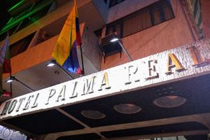 Alojamiento - Hotel Palma Real