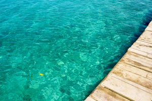 Vuelo - Vuelos a Chichiriviche