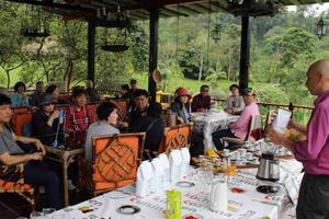 Actividad - Tour guiado a Finca de Café con entradas incluidas