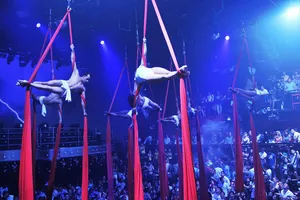 Actividad - Coco Bongo Playa del Carmen con traslados desde Riviera Maya