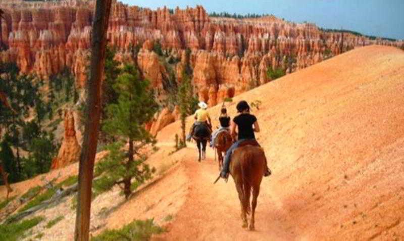 Instalaciones Recreativas The Lodge at Bryce Canyon