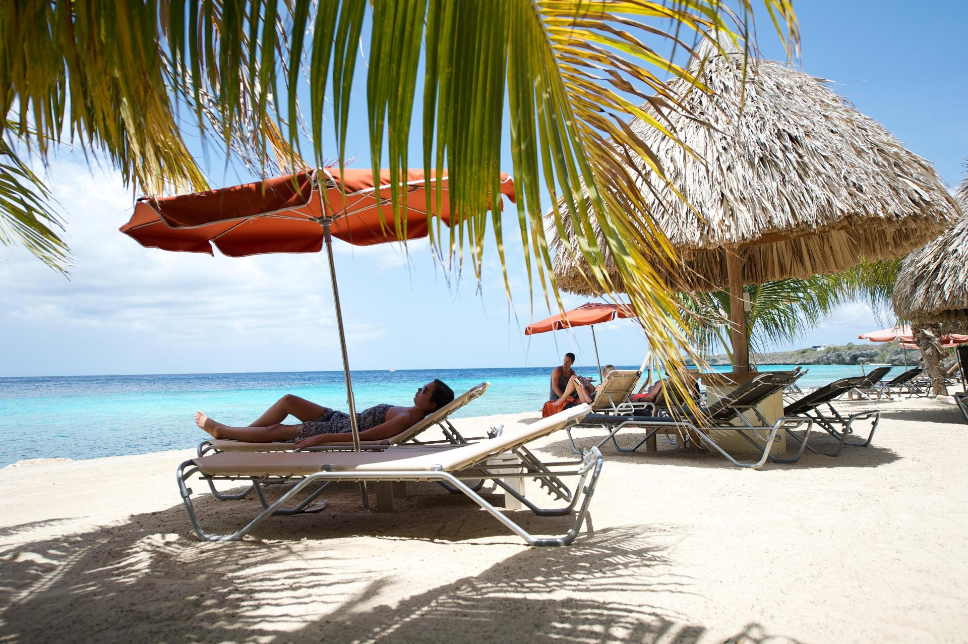 Playa Oasis Coral Estate Beach Dive & Wellness Resort