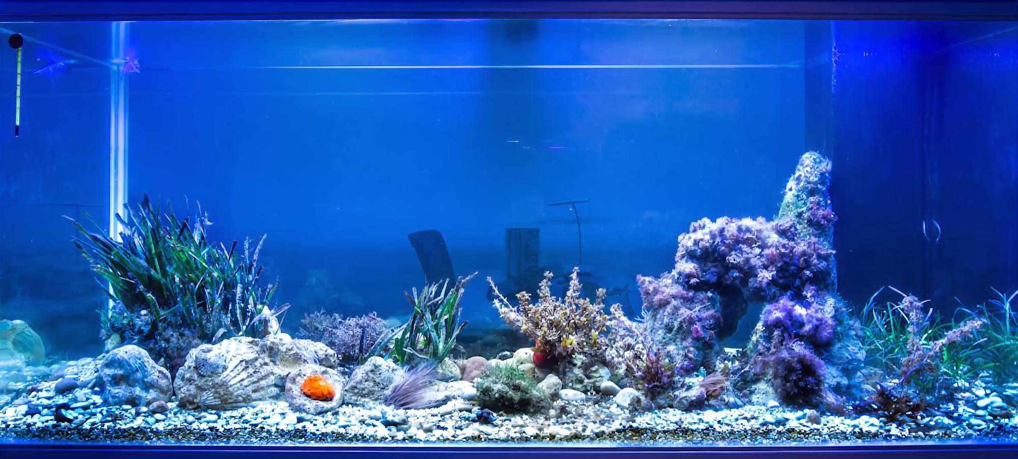 Vista Lobby Stanze del Mare