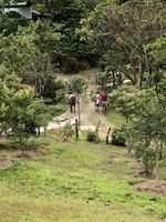 Alojamiento - Malekus Mountain Lodge