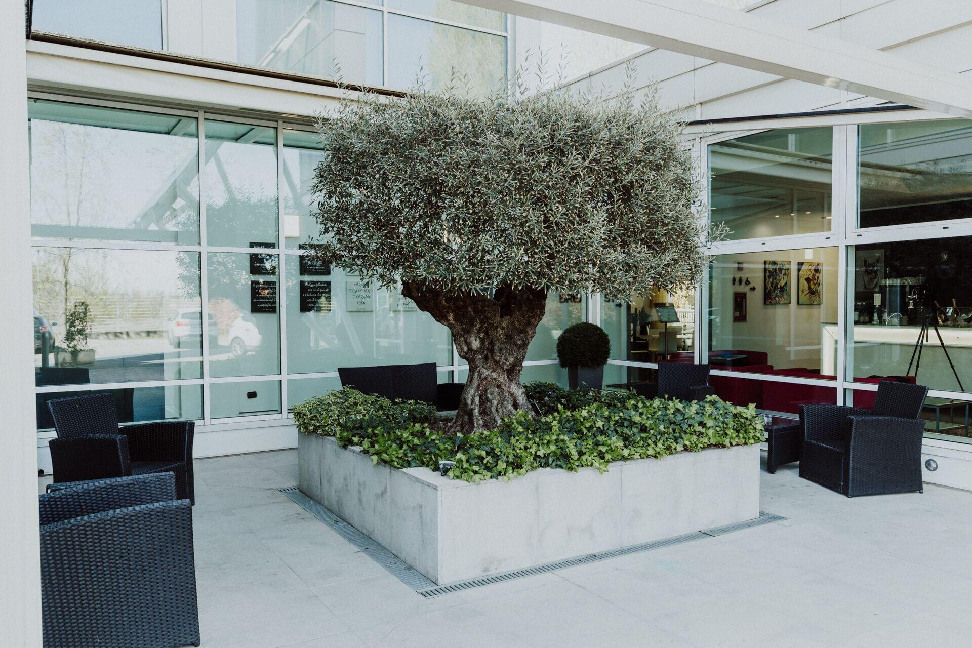 Vista Exterior Hotel Carpi