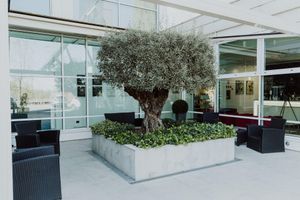 Alojamiento - Hotel Carpi