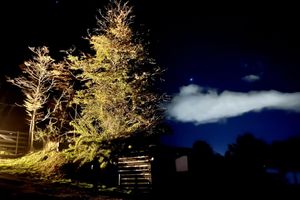 Alojamiento - Calafate Lodge Patagonia