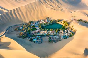 Actividad - Full Day Paracas & Huacachina desde Lima
