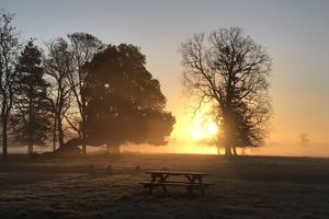 Alojamiento - The Stables