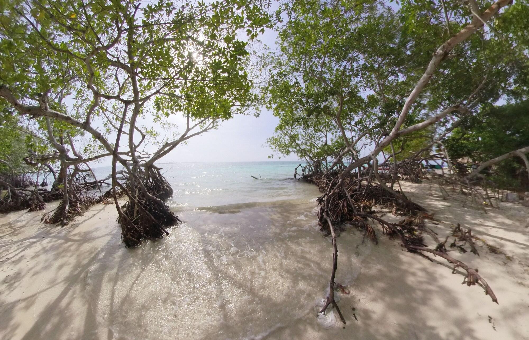 Playa Puerto Caracol Isla Múcura