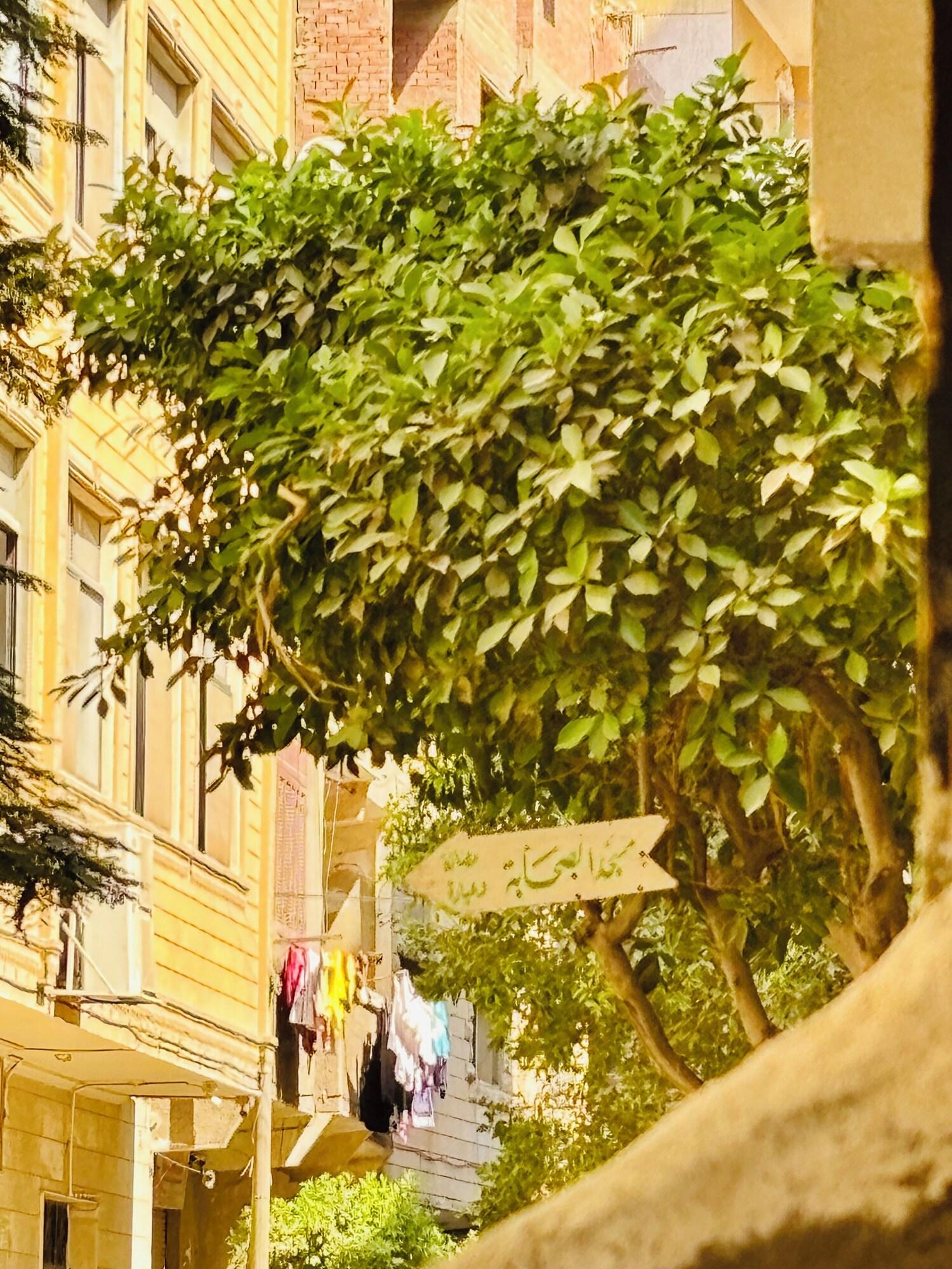 Vista Exterior Giza Pyramids View Guest House