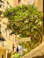 Alojamiento - Giza Pyramids View Guest House