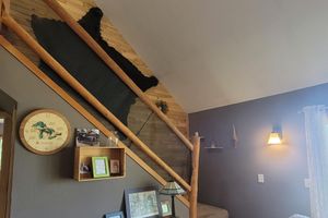 Alquiler Vacacional - 10 acre, close to trails, WiFi, Kayaks, small lake/marsh,New beds.
