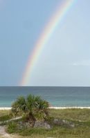 Alquiler Vacacional - Directly across the street from the Gulf! 2/1 sleeps 4 adults max and 5 total.