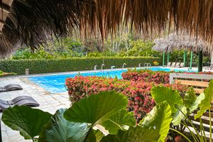 Alojamiento - Los Colores Ecoparque Doradal