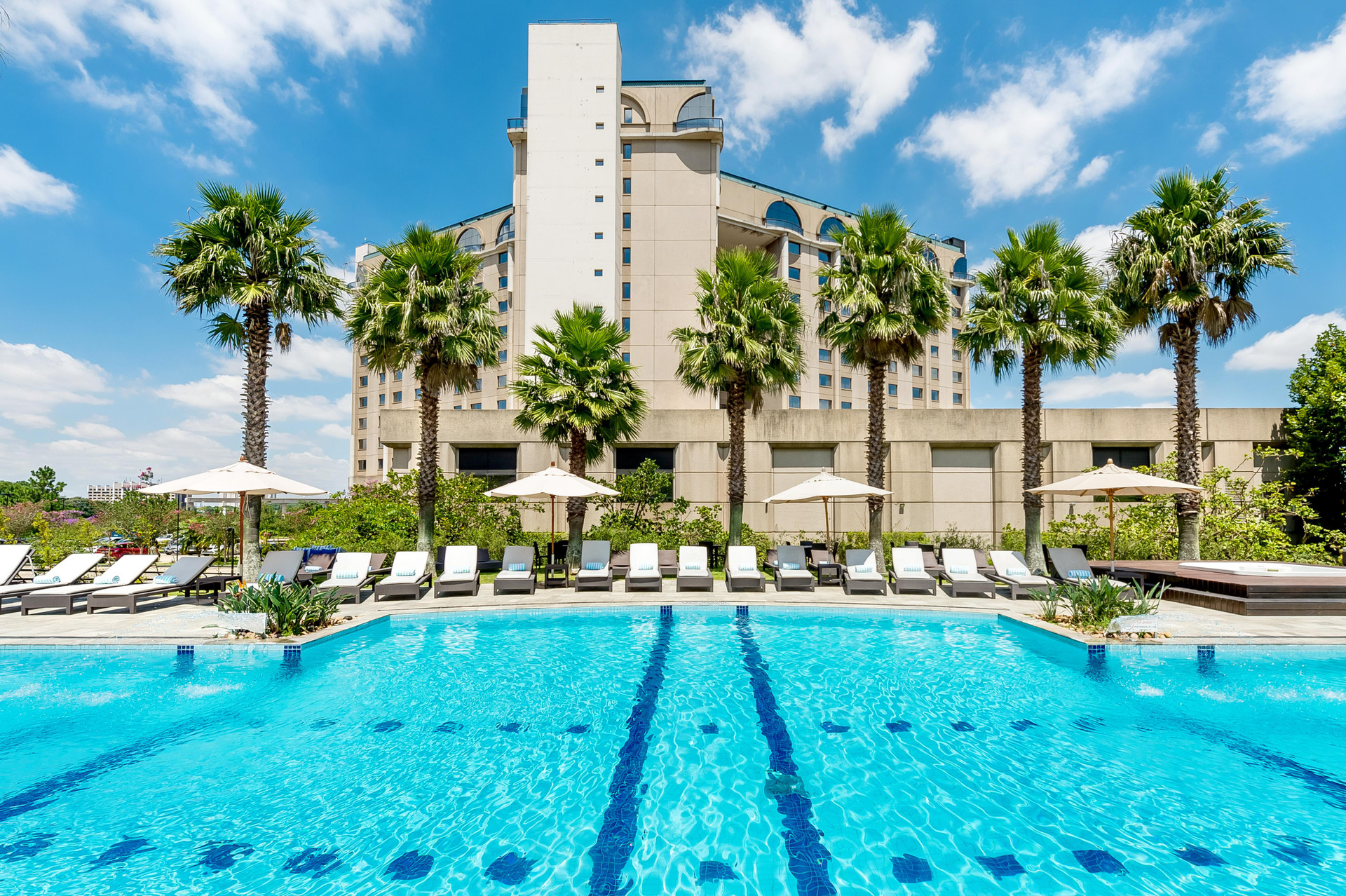 Vista Piscina Pullman São Paulo Guarulhos Airport