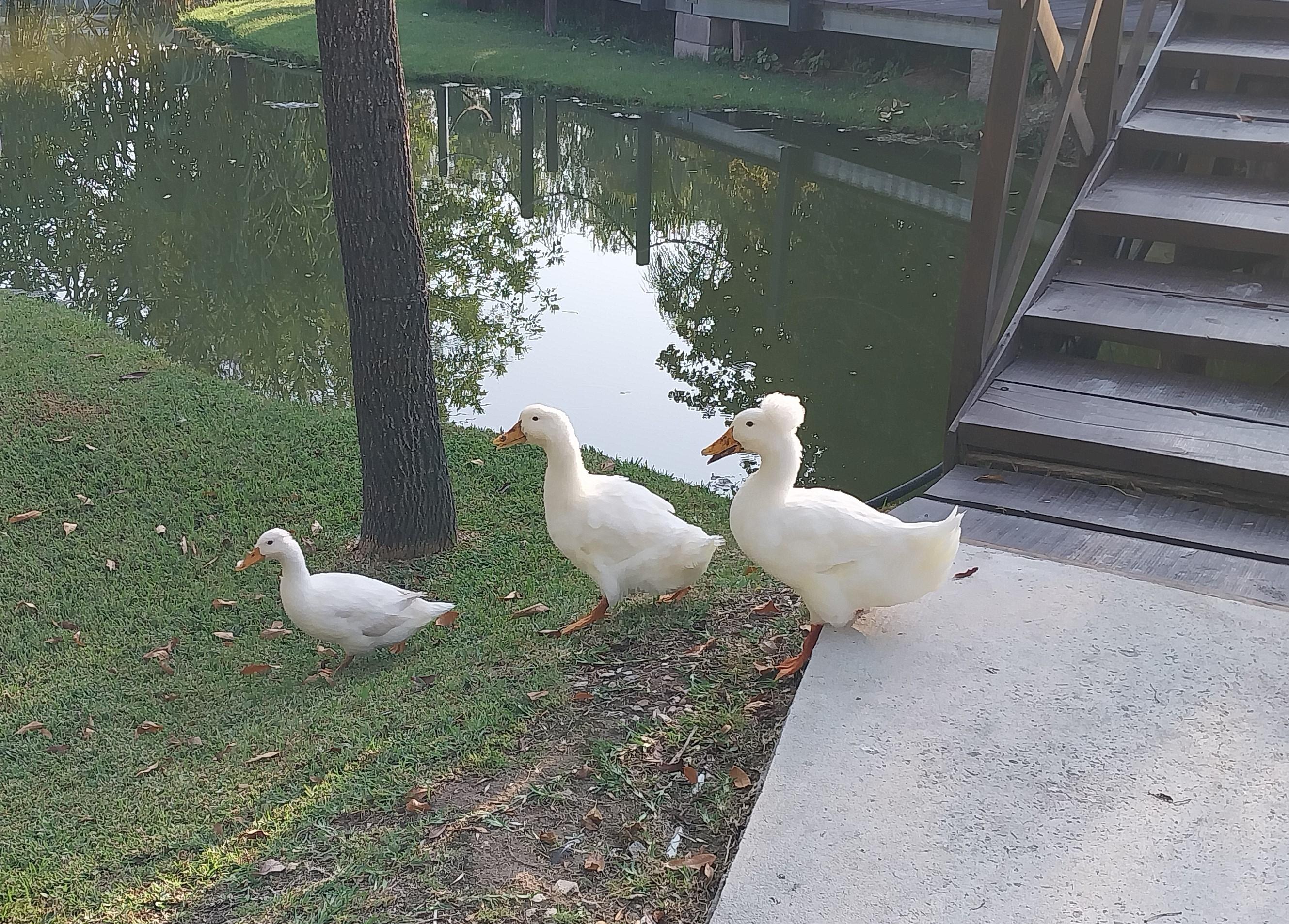 Vista Exterior La posada multiespacios