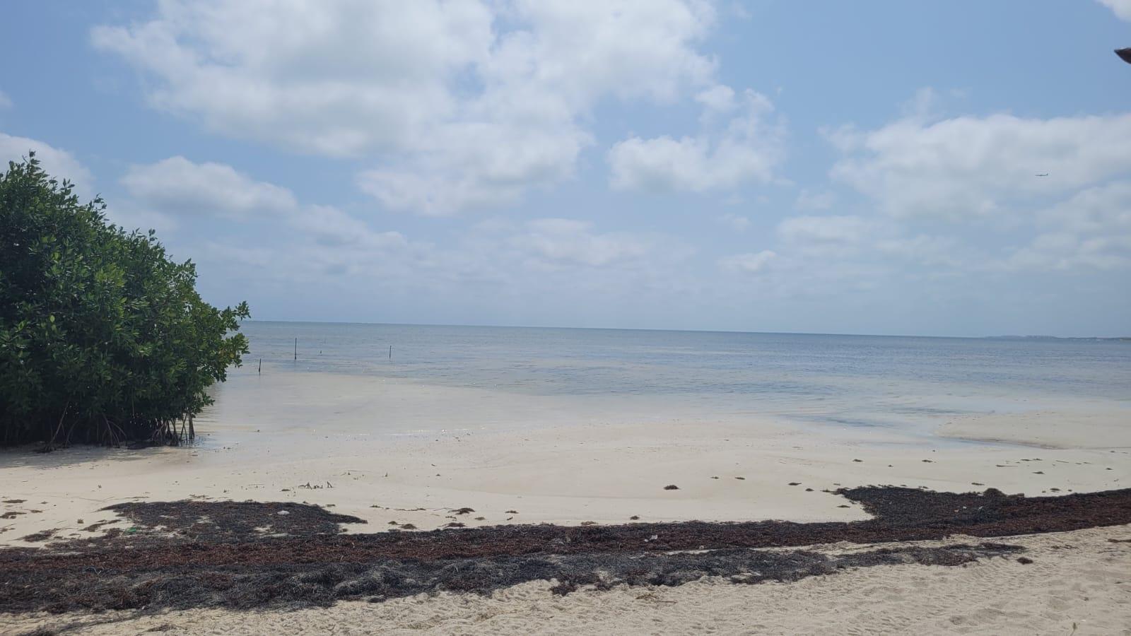 Playa Akuazul Resorts Only Adults