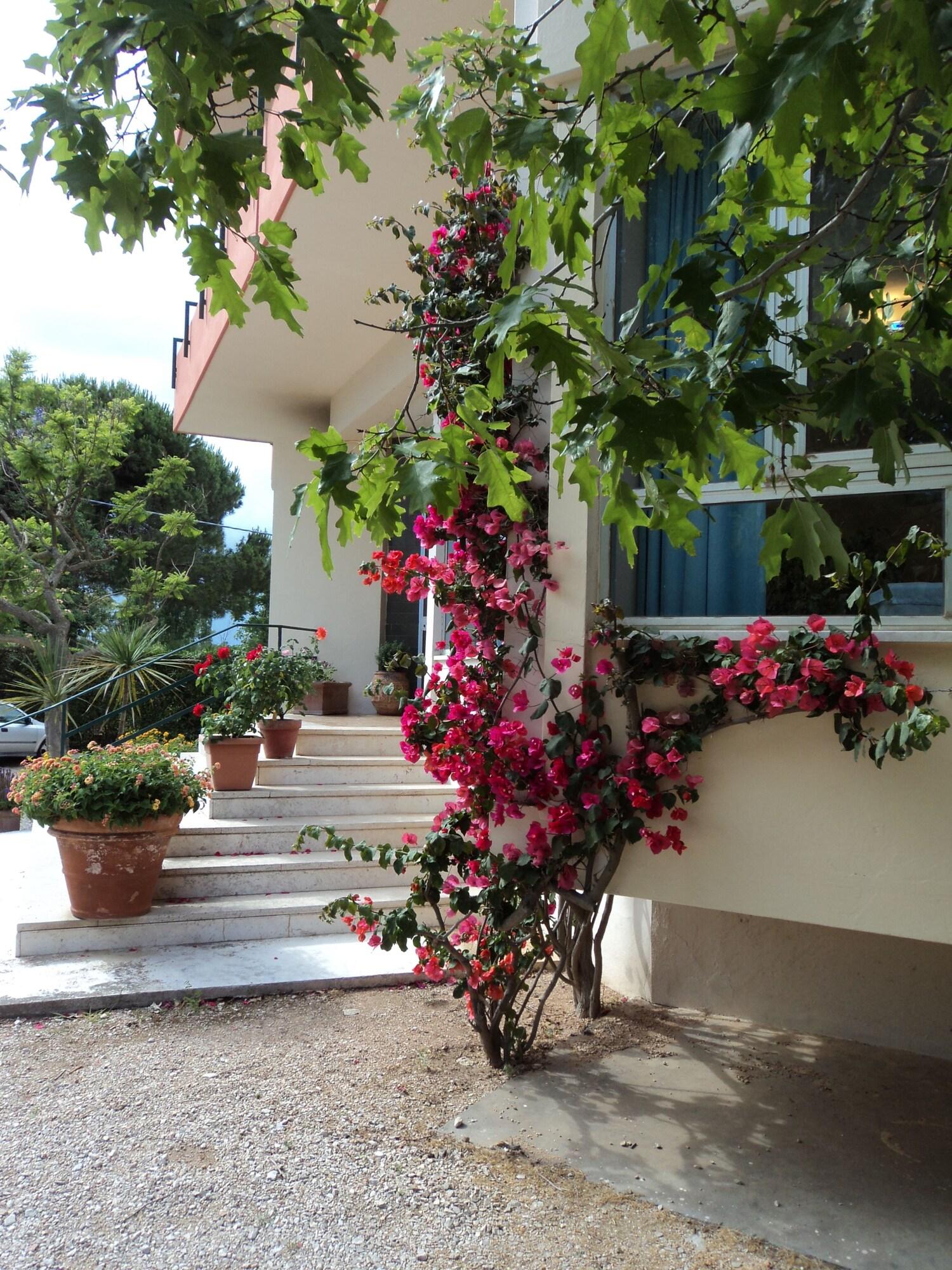 Vista Exterior Hotel Le Pleiadi