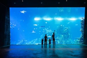 Actividad - Gran Acuario Mazatlan - Entrada